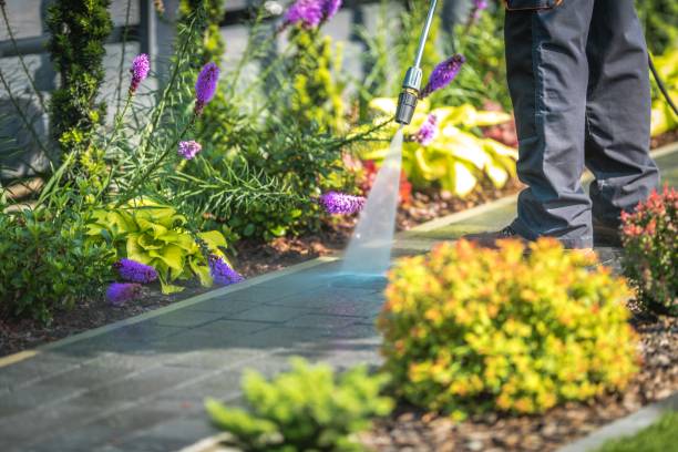 Best Fence Cleaning  in Wimauma, FL